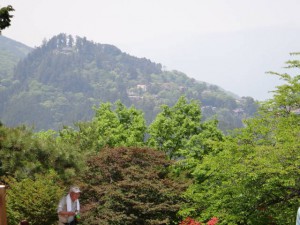 日の出山山頂から御岳山（御嶽神社）を望む