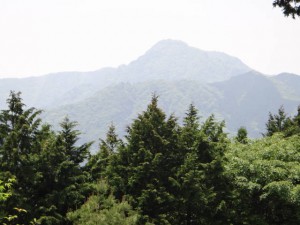 日の出山から大岳山を望む